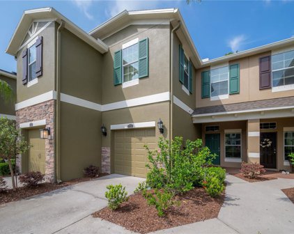 12428 Streamdale Drive, Tampa