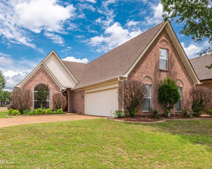 2916 Boffin Drive, Southaven