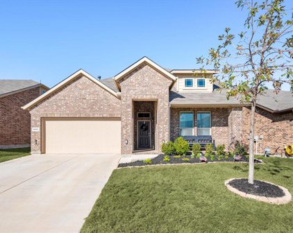 9013 Bronze Meadow  Drive, Fort Worth