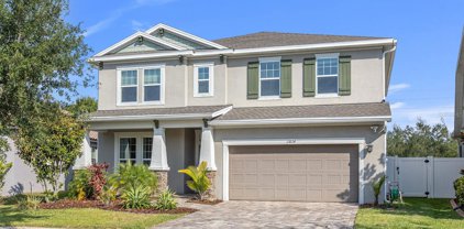 11824 Frost Aster Drive, Riverview