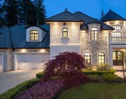 1402 Crystal Creek Drive, Anmore image