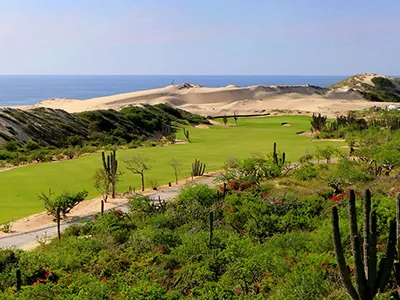 Rancho San Lucas
