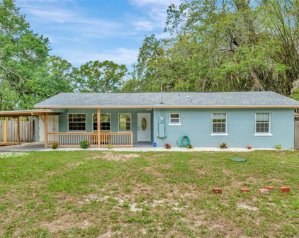 16126 E Lake Burrell Drive, Lutz