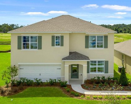 637 Griffon Avenue, Lake Alfred