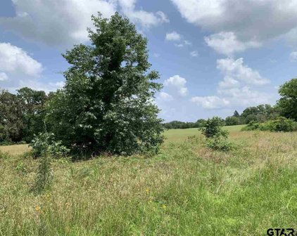 18569 (Lot 4) Burkett, Flint