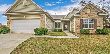 1003 Jeweled Crown  Court, Indian Trail