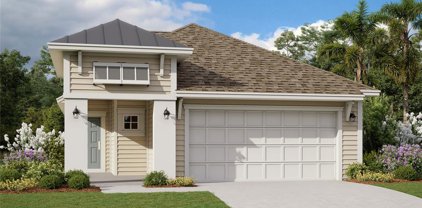 677 Stargaze Lane, St Augustine