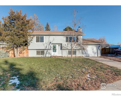 591 10th Street, Windsor