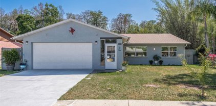 8040 Brown Pelican Avenue, New Port Richey