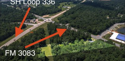 1431 Fm 3083 Road, Conroe