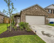 12919 Crombie Drive, Humble image