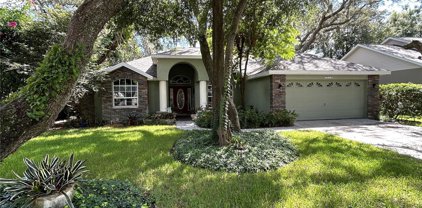 1019 Legends Pass Drive, Valrico