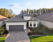 29546 Ginnetto Drive, Wesley Chapel image
