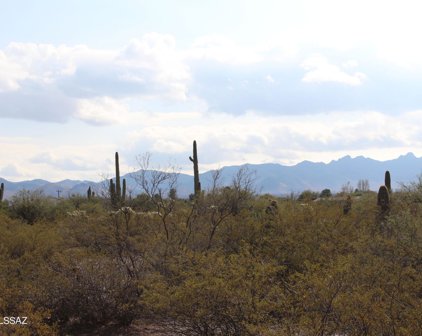 TBD S Mann Unit #035D, Sahuarita