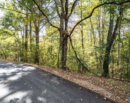 63 Acres Mccorkle Mountain Road, Scottsboro