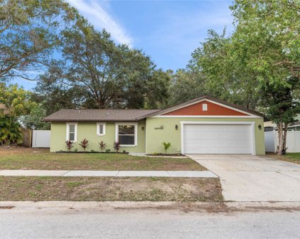 20 Durham Court, Palm Harbor