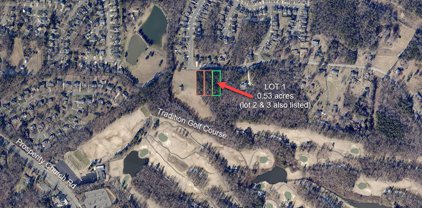 3225 Polk And White  Road, Charlotte