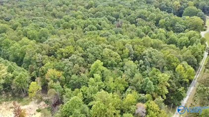 7.72 ACRES County Road 724, Bryant