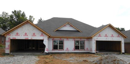 232 Twin Springs Dr, Shelbyville
