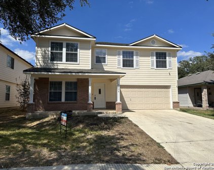 4039 Angel Trumpet, San Antonio