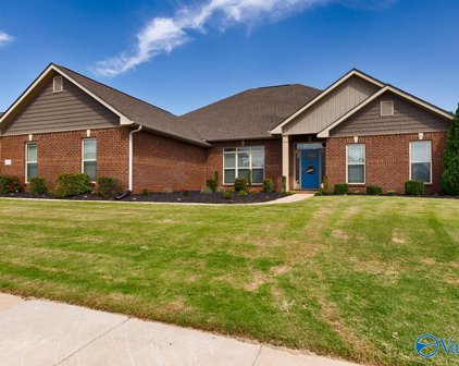 202 Summerbranch Road, Madison