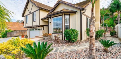 31207 Old River Rd, Bonsall