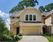 209 Skybranch Court, Conroe image