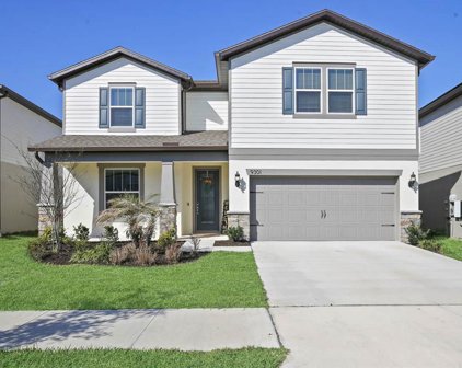 9301 Rally Spring Loop, Wesley Chapel