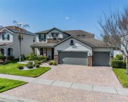 22619 Cherokee Rose Place, Land O' Lakes image