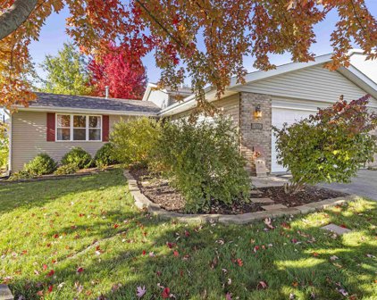 11006 Meadowsweet, Roscoe