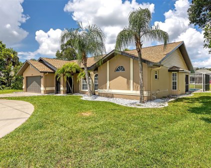 195 Uruguay Drive, Punta Gorda