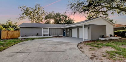 1533 Twin Palms Loop, Lutz