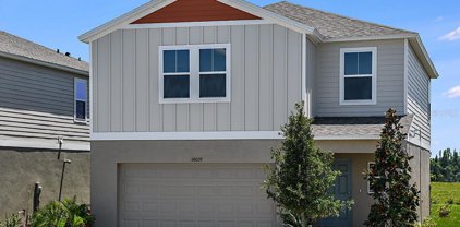 34154 Scarlet Sage Court, Wesley Chapel