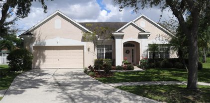 12903 Greenville Court, Tampa