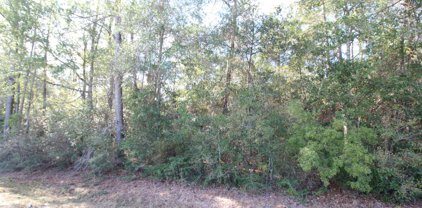 2.1 Ac Inland Beach Road, Lucedale