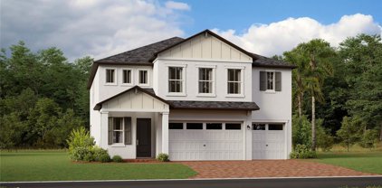 9780 Carabiner Way, Land O' Lakes