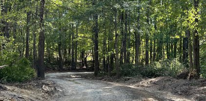 lot 3 Dowler, Inman