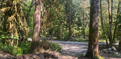 Cascade Park Place Unit #D1-67, Marblemount