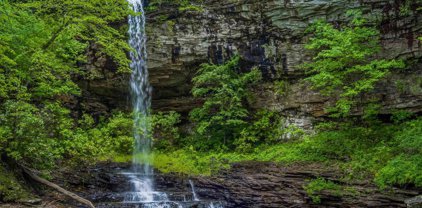 860 County Road 270, Fort Payne