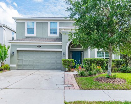 10607 Pictorial Park Drive, Tampa