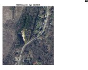 1024 Watson Drive, Elgin image