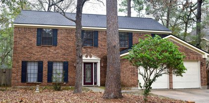 34 Sylvan Forest Drive, The Woodlands
