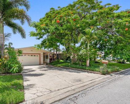 3912 Fontainebleau Drive, Tampa