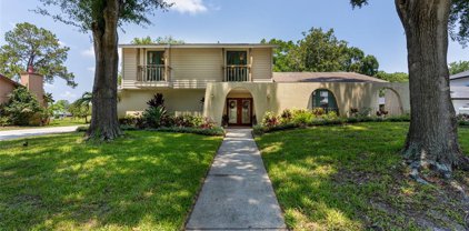 16210 W Course Drive, Tampa