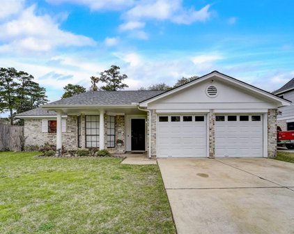 8310 Willow Forest Drive, Tomball