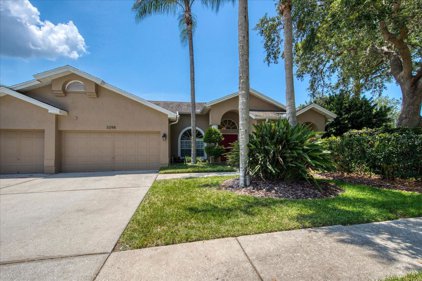 3298 Valemoor Drive, Palm Harbor