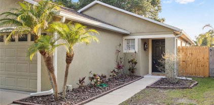 8423 Deer Chase Drive, Riverview