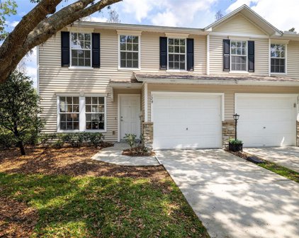 129 Sawtooth Drive, Valrico