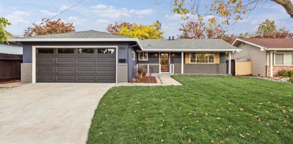 406 Coleen, Livermore