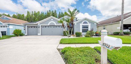 30923 Iverson Drive, Wesley Chapel